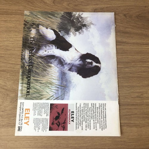 Guns25 magazine advert 12x9 - guns25,