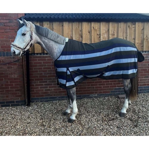 Ruggles horse pony stripe - ruggles,