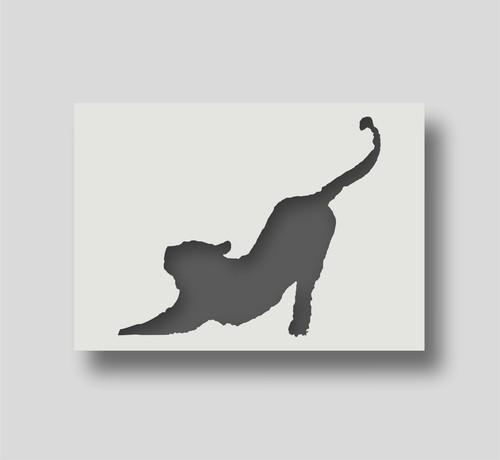 Reusable banksy cat - cat, stencil