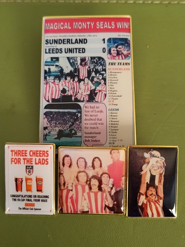 Sunderland cup win 1973 pin - cup,