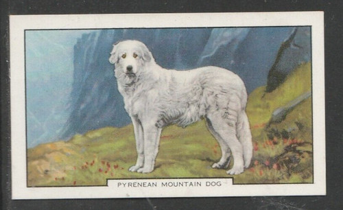 1938 gallaher dogs 2nd series - 1938,