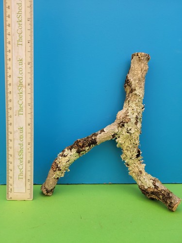 Cork bark branch 20cm snake - bark,
