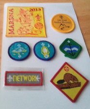 Scout badges