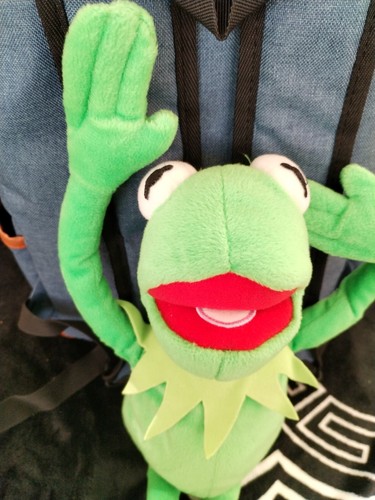 Kermit the frog plush - frog, 22"