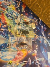 real life bugs and insects