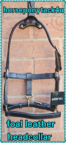 Premium leather standard - premium,