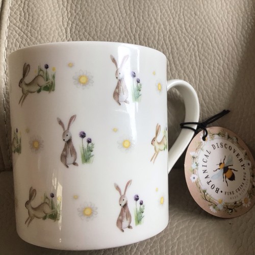 Botanical discovery rabbit - botanical,