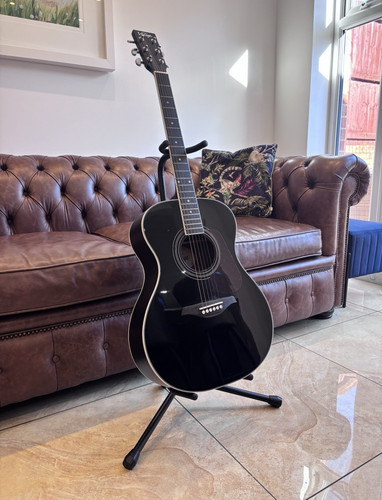 Vintage v300bk string - vintage,