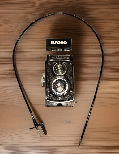 Rolleicord black - rolleicord,