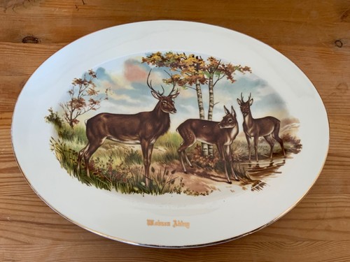 Woburn abbey deer - abbey,