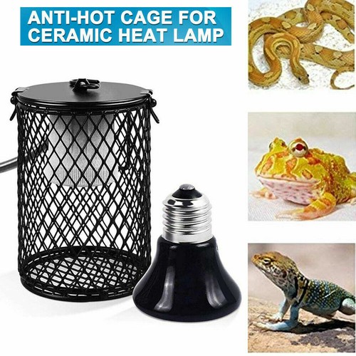 Reptile heating lamp holder - heating,
