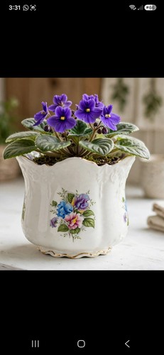 Brosnic english bone china - brosnic,