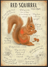 Red Squirrel metal sign