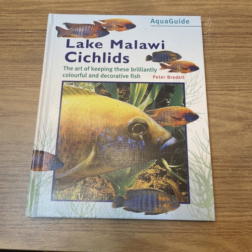 Lake malawi cichlids - cichlids, (aqua