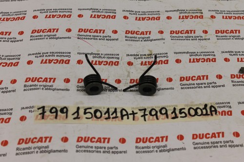 Intake valves spring pair - intake,