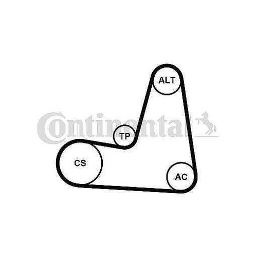 6pk1130k2 continental ctam - 6pk1130k2,