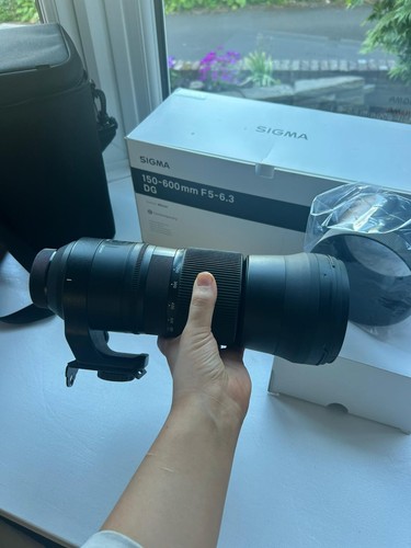 Sigma 150 600mm gd lens - sigma,