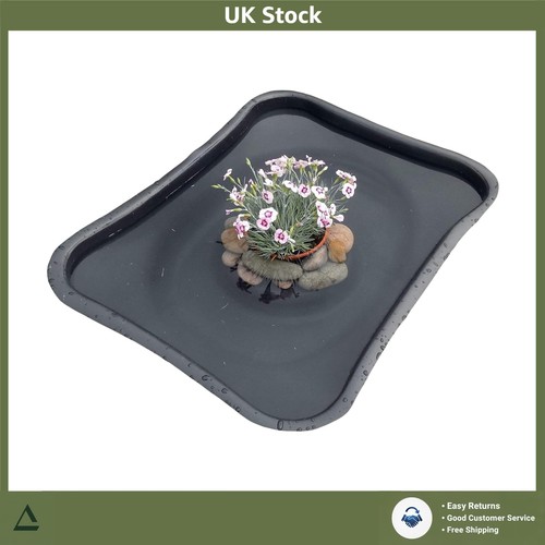Instant wildlife garden - wildlife,