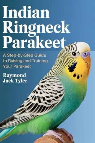 Indian ringneck parakeet - parakeet, a