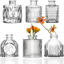 Glass Bud Vases Set of 6, Cute