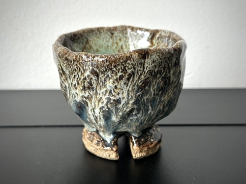 Seigan yamane guinomi - seigan, sake