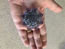 Vintage John Deacons Lilac