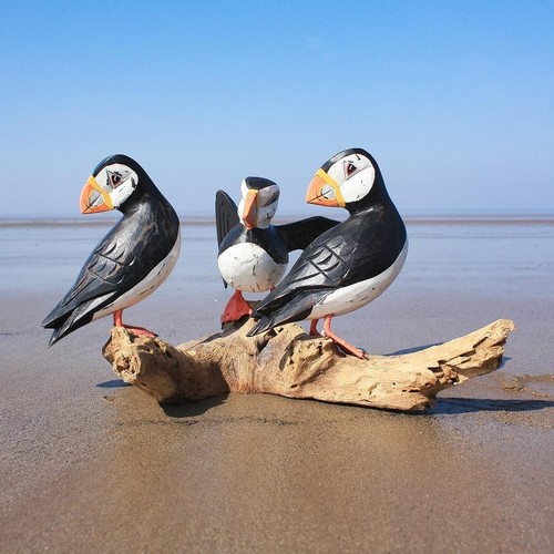 Three puffins large wooden - three,