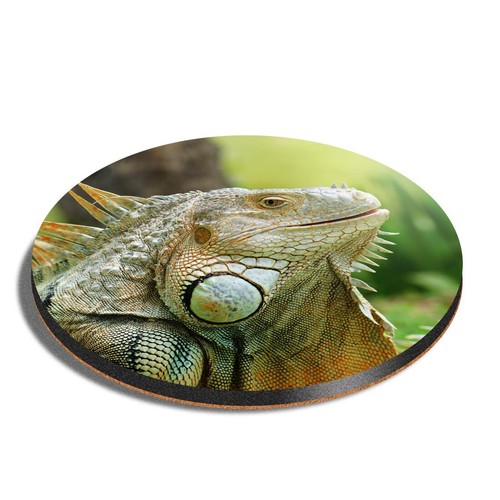 Round mdf coaster america - round,