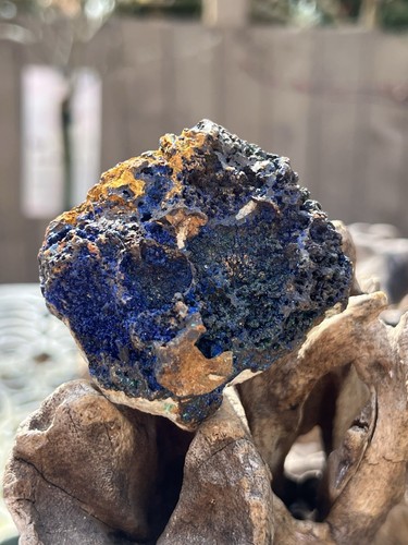 Large azurite malachite - large,