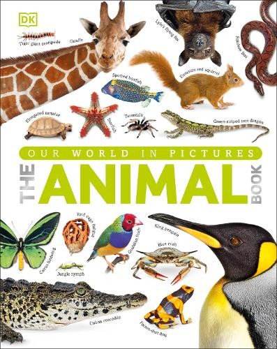 The animal book visual - animal, book: