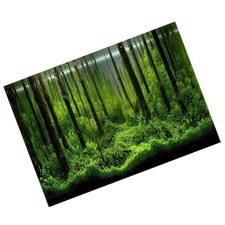 Aquarium poster wall paper - aquarium,