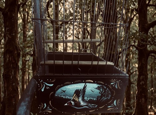 Small finch cage - small,