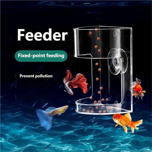 Aquarium fish shrimp feeding - aquarium,