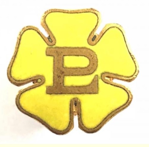 Vintage primrose league yellow - vintage,