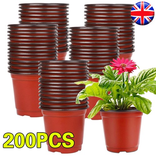 200pcs plastic plant flower - plastic,