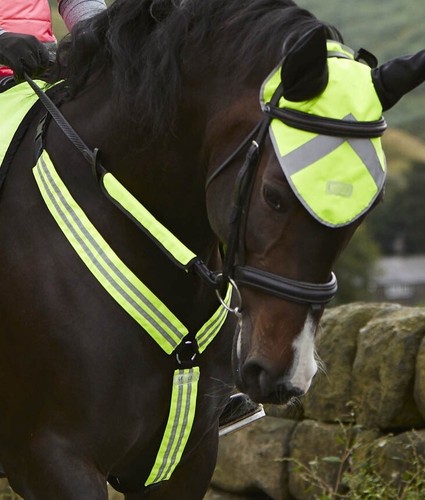 Masta breastplate full size - full,