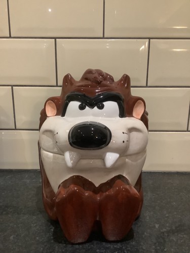 Warner bros store - warner, taz