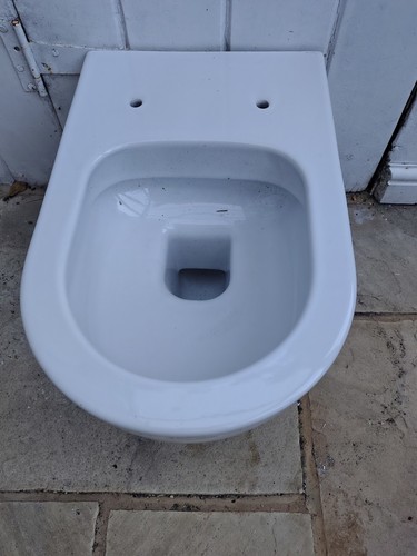 Wall mounted rimless - rimless, toilet