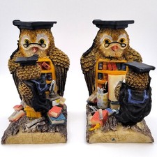 Pair Owl Schoolmaster Teacher