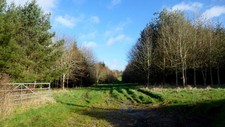 Photo 6x4 forest ride - photo,
