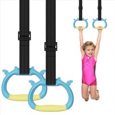 Gymnastic Rings Gym Fitness