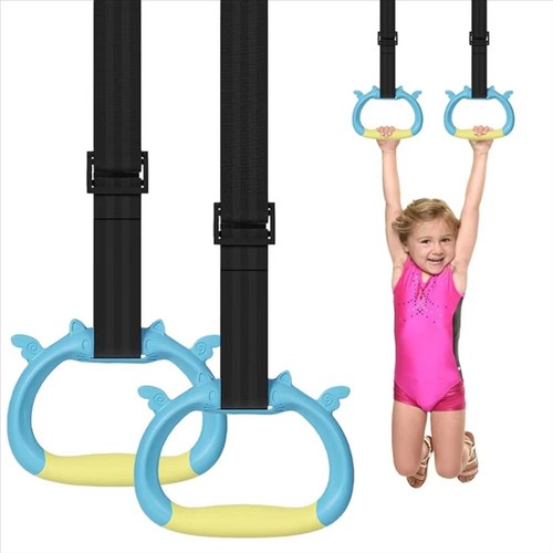 Gymnastic rings gym fitness - rings,
