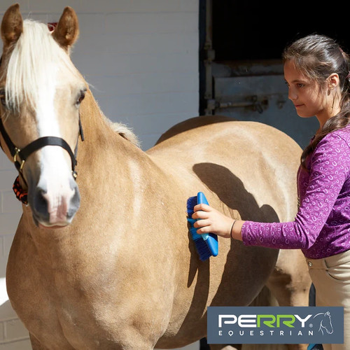 Equestrian ergonomic long body - ergonomic,