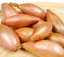 shallot zebrune - 500x seeds - Vegetable