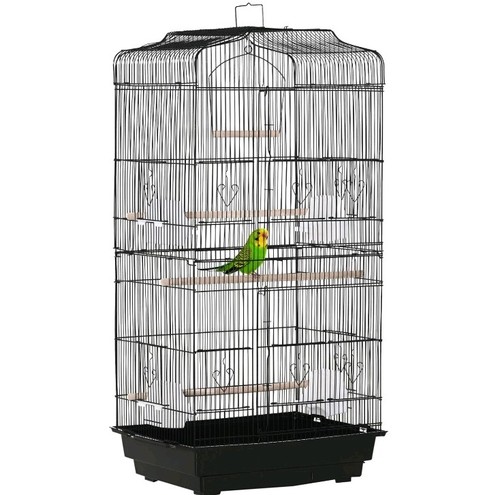 Large parrot bird - parrot, cage