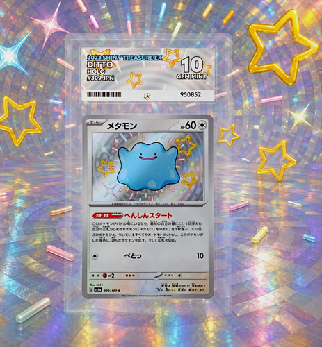 Ditto 309 190 2023 shiny - ditto,
