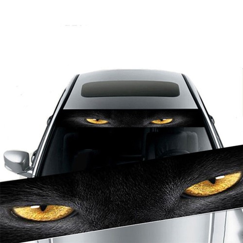 Car front windshield - 1x,