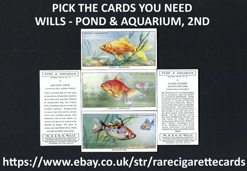 Wills pond aquarium 2nd - -,