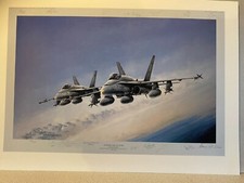 McDonnell F-18 Hornet aviation