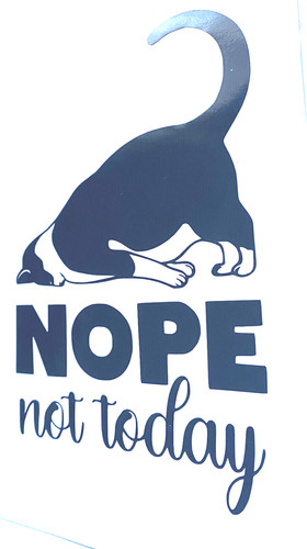 Not today cat - not,